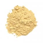 Dijon Mustard Powder | Bulk Herbs And Spices | MySpicer