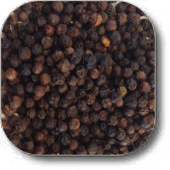 Tellicherry Black Peppercorns, Size: 1 lbs